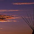 Native Spirit
