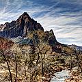 The Watchman